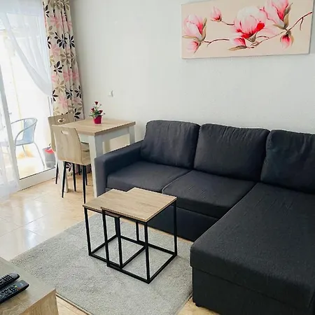 Apartment San Pascual, 289 Torrevieja
